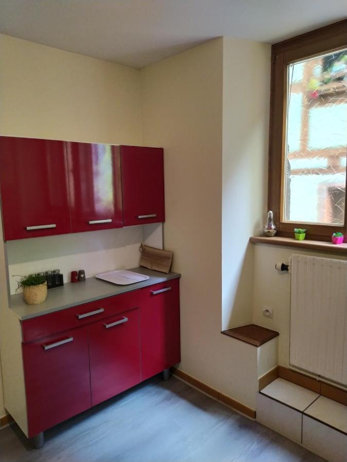 Chey Mybam, Agreable Maison Au Centre De Selestat Villa Exterior photo