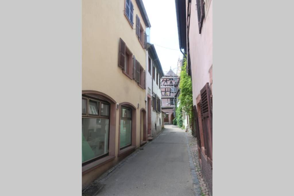 Chey Mybam, Agreable Maison Au Centre De Selestat Villa Exterior photo